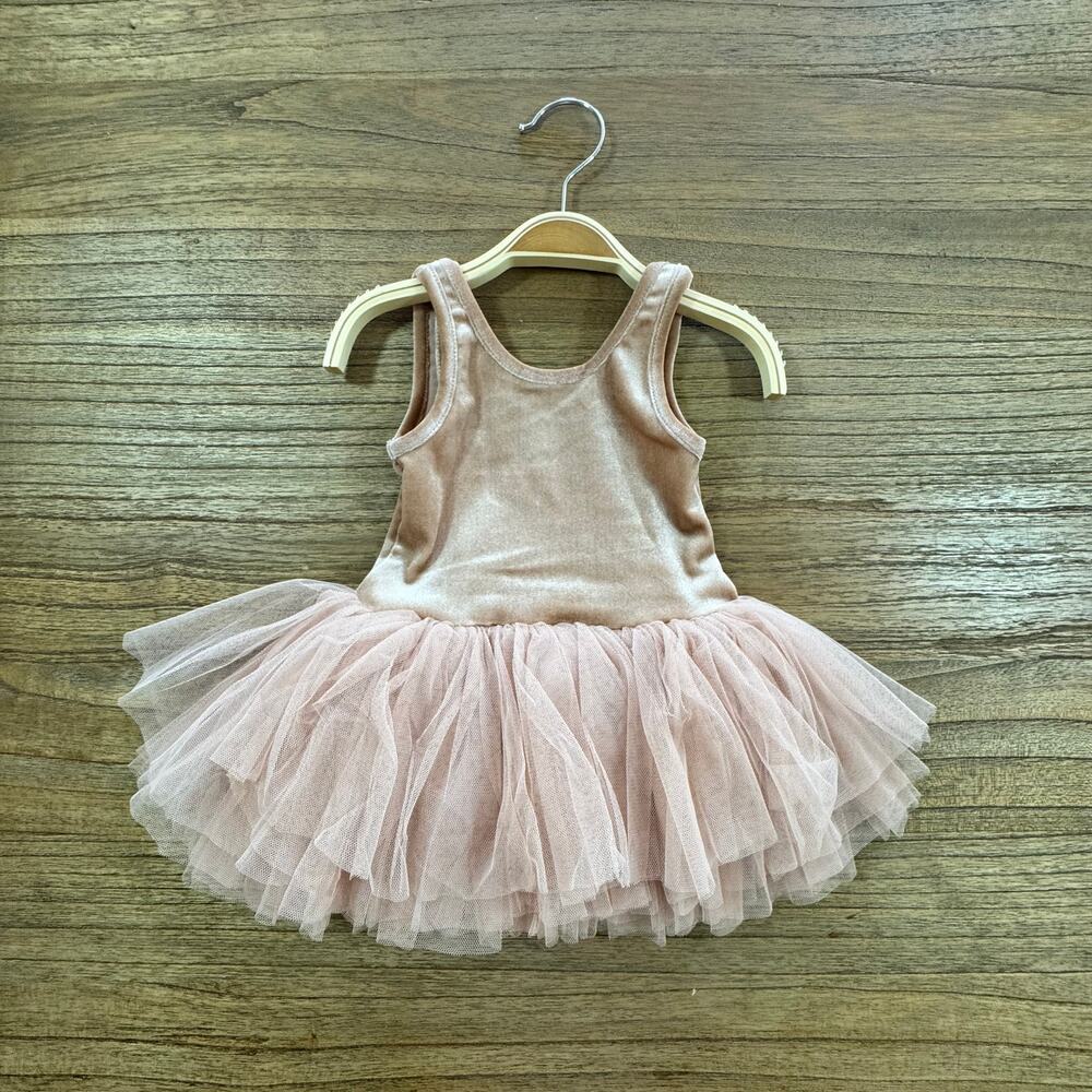 Noralee Dusty Rose Tallulah Tutu Leotard Dress - Size 12m